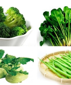 Nông Nghiệp Công Nghệ Cao Thúc Đẩy Chất Lượng Rau Củ Quả Việt Nam Trong Thời Kỳ Mới