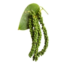 TIÊU XANH 