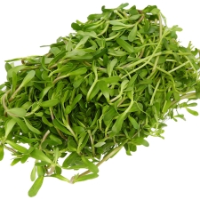 RAU ĐẮNG