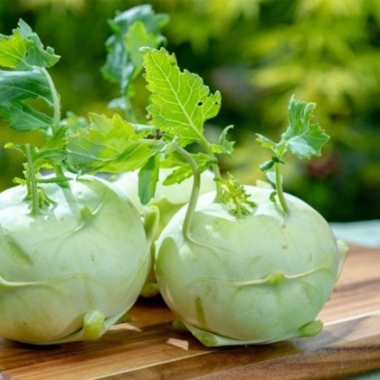 SU HÀO